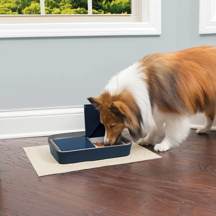 Petsafe Digital Two Meal Feeder