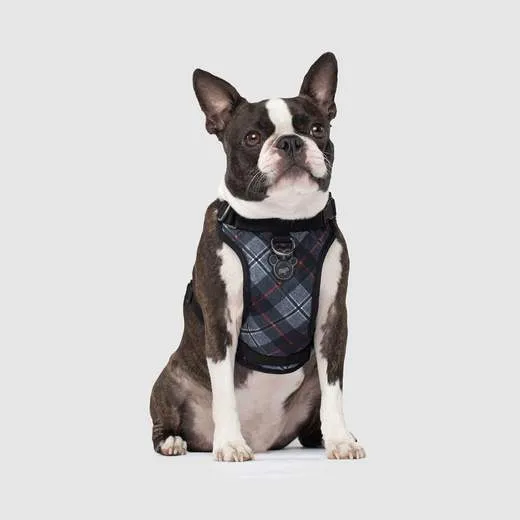 The Everything Harness In Plaid Medium