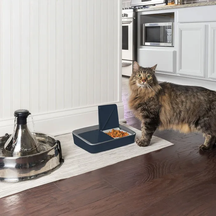 Petsafe Digital Two Meal Feeder