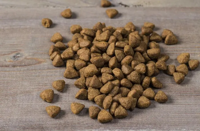 Freestyle Grain Free Puppy Turkey & Sweet Potato Dry Dog Food 4.5-Lb