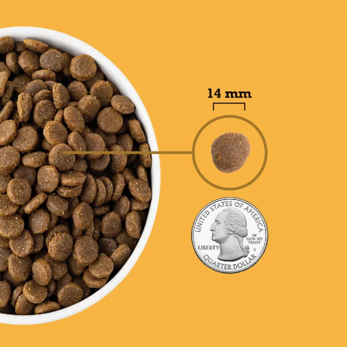 Acana Free-run Poultry Grain-free Dry Dog Food 13-lb