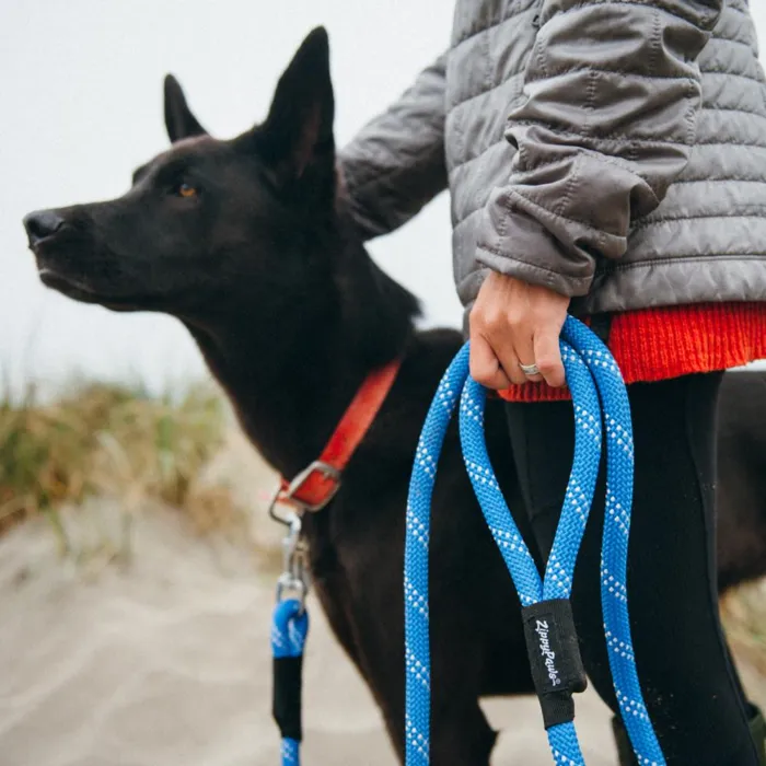 Original Climbers 6 Ft Dog Leash Black