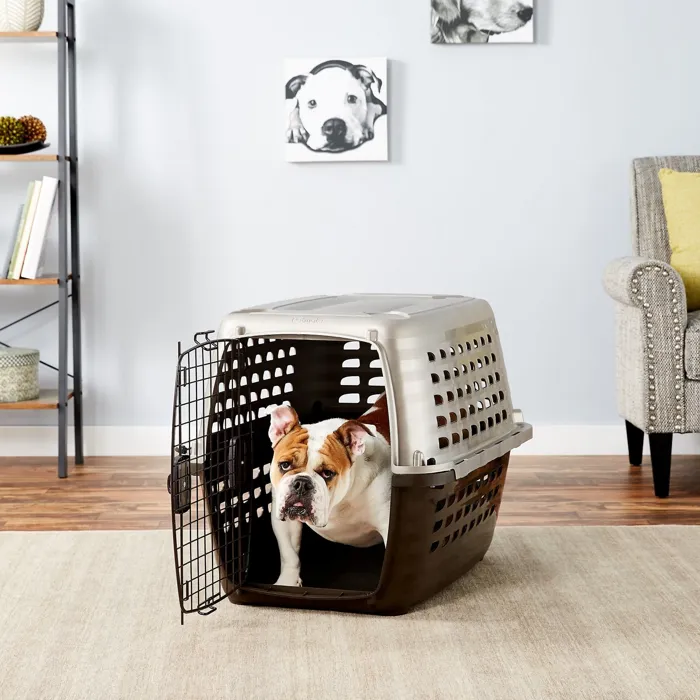 Navigator Plastic Kennel Medium