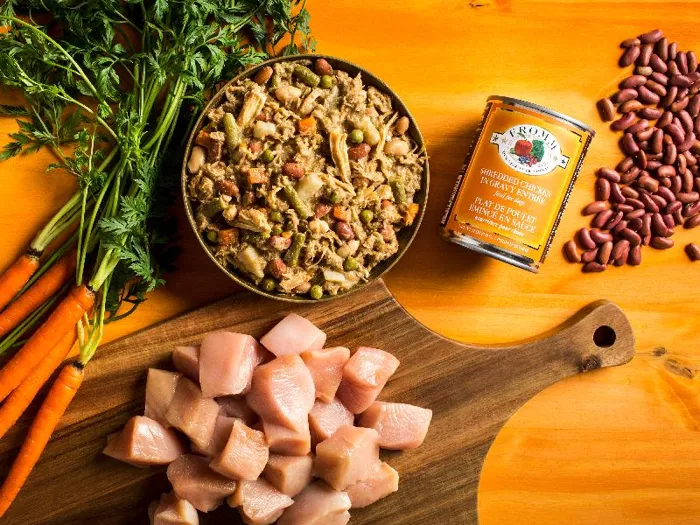 Four Star Shredded Grain Free Chicken In Gravy Entree Canned Dog Food 13-oz