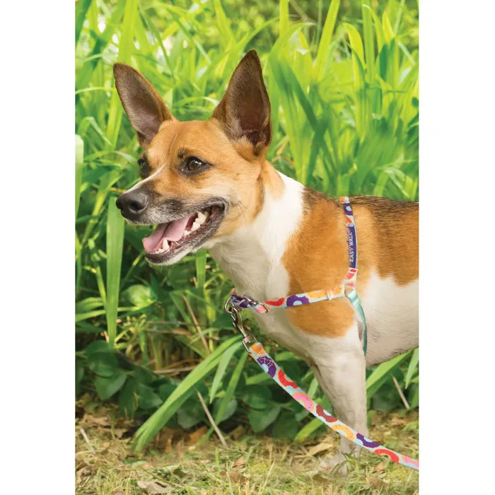 Easy Walk Chic Designer Harness & Leash Sm Donuts