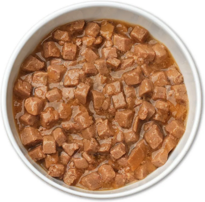Purrfect Bistro Grain-free Chicken Divan Morsels In Gravy Canned Cat Food 5.5-oz
