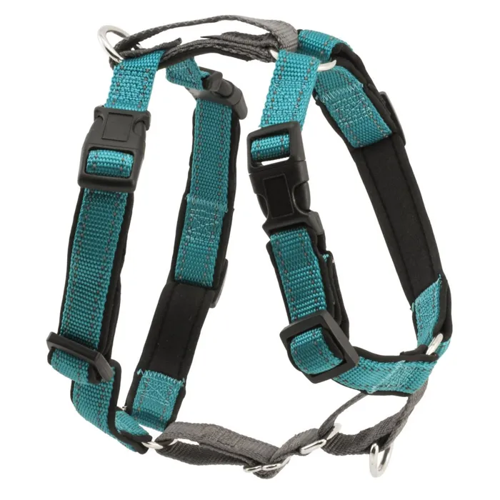3 In 1 Harness Medium Teal Medium