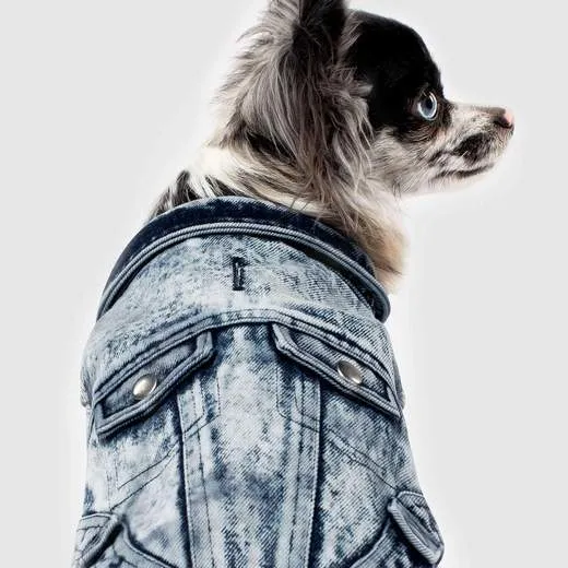 Downtown Denim Jacket 10"