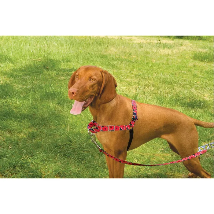 Easy Walk Harness & 4ft Lead Md /lg Dogs Poppies