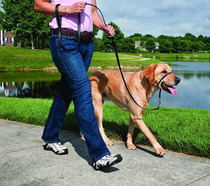 Gentle Leader Headcollar, No-pull Dog Collar Large Black