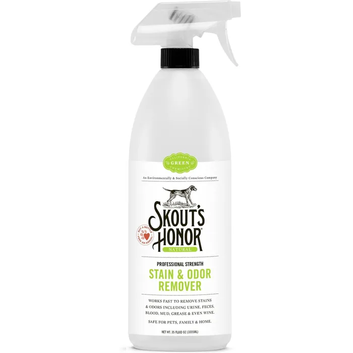 Professional Strength Stain & Odor Remover 35-Oz