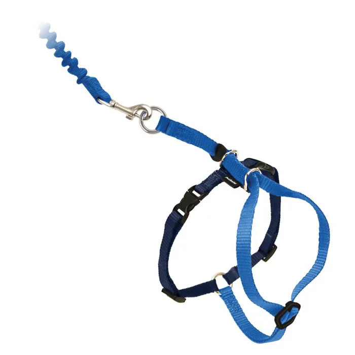 Harness & Bungee Leash Medium Royal Blue Medium