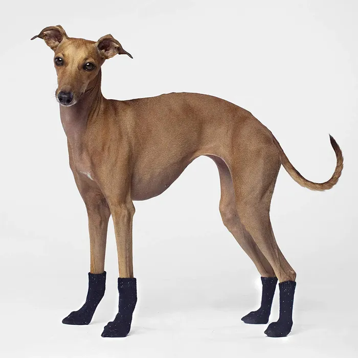 Cambridge Dog Socks In Navy X-large