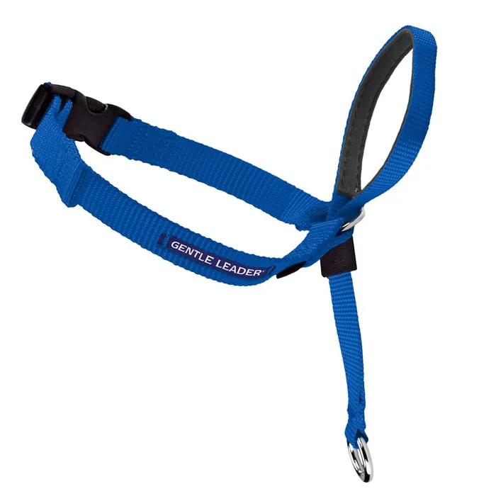 Gentle Leader Headcollar, No-pull Dog Collar Petite Royal Blue