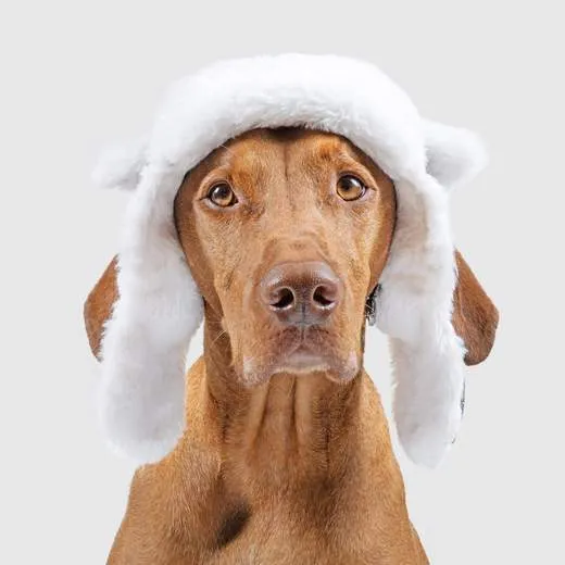 Arctic Air Hat Medium