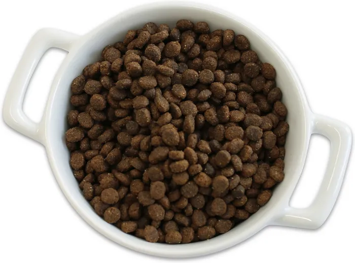 Lil' Plates Grain Free Small Breed Real Salmon & Sweet Potato Recipe Dry Dog Food 4-lb Test
