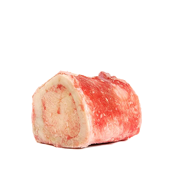 Raw Recreational Beef Marrow Bone (medium Size) M