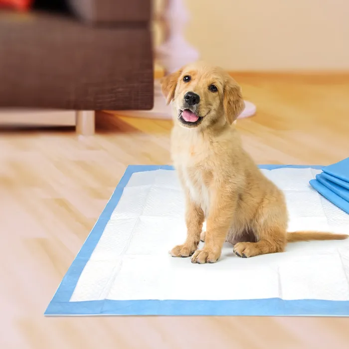 Wee-Wee Absorbent Dog Pads 30-Ct