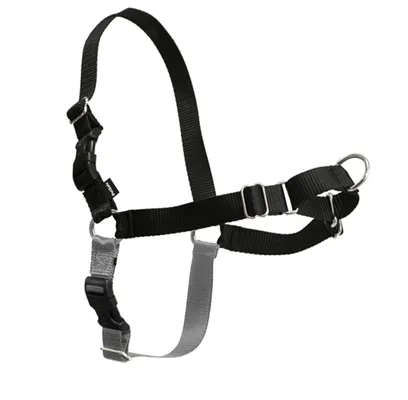 Easy Walk Harness, No Pull Dog Harness Small / Med Black