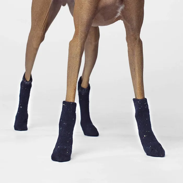 Cambridge Dog Socks In Navy Large