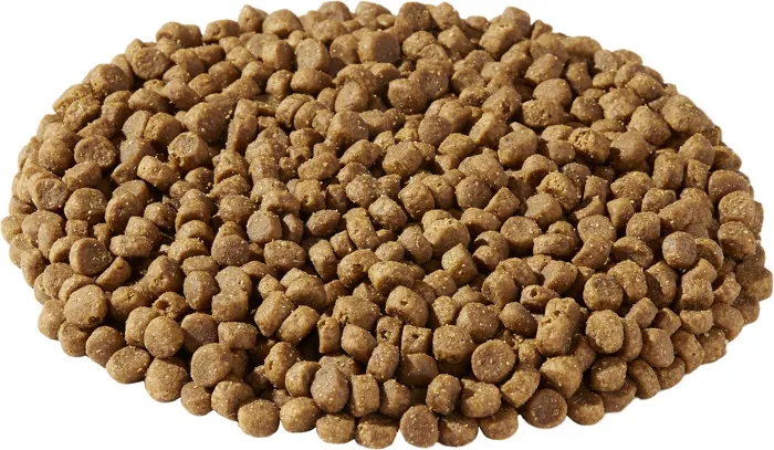 Market Fresh Chicken & Turkey Recipe Grain-free Dry Cat Food 10-lb