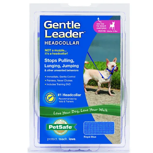 Gentle Leader Headcollar, No-pull Dog Collar Petite Royal Blue