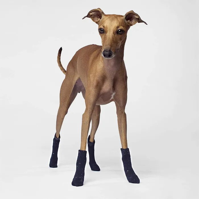 Cambridge Dog Socks In Navy X-large