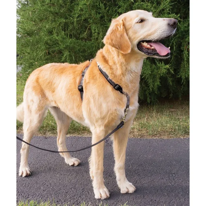 3 In 1 Harness Large Black Large