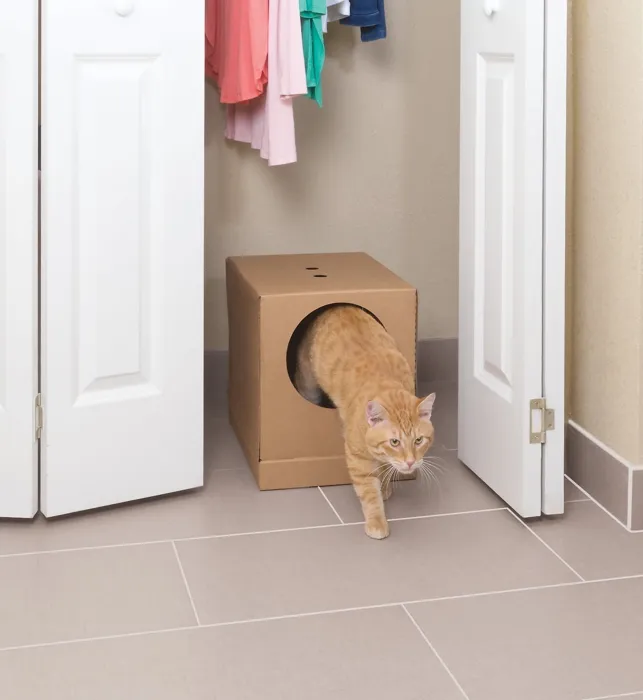 Disp Litter Box Prefilled Premium Crystal Litter