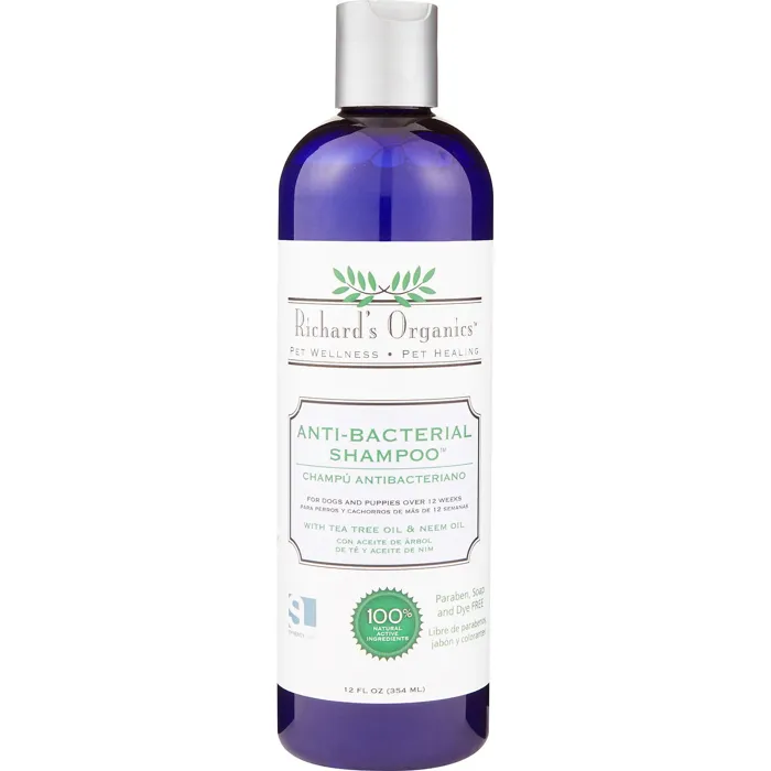 Shampoo Anti-Bacterial Formula 12-Oz